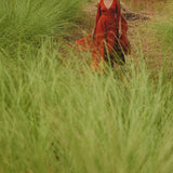Dressed in the AYA Sacred Wear Red Rose Makosh Goddess Dress, a person glides through tall green grass, their black hat providing an exquisite contrast to the vibrant surroundings.